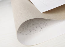 Load image into Gallery viewer, Snowy Village