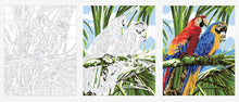Load image into Gallery viewer, Birds DIY Painting By Numbers