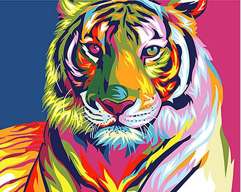 Colourful Tiger Animals