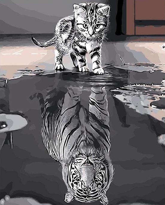 Reflection Cat DIY Painting