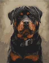 Load image into Gallery viewer, Rottweiler
