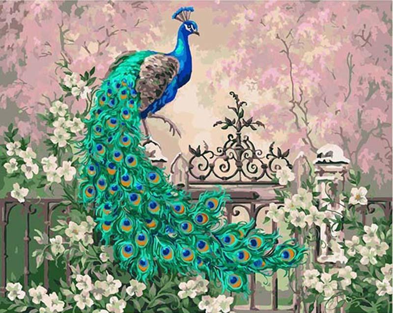 Peacock DIY Painting By Numbers