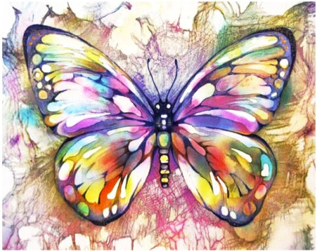 Abstract Colourful Butterfly